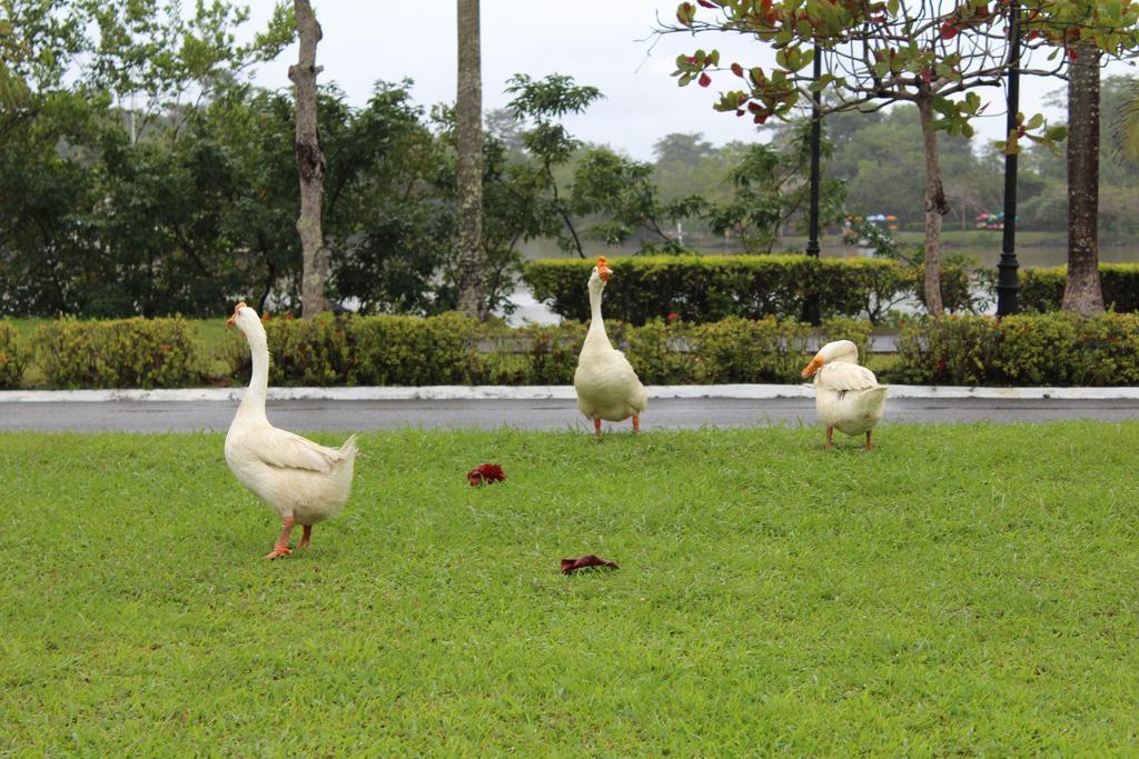 Amatique Bay Hotel Puerto Barrios Exteriér fotografie